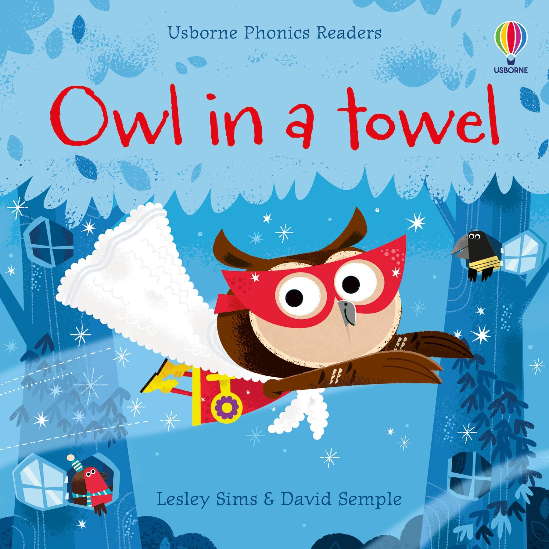 Vorderes Coverbild Owl in a Towel
