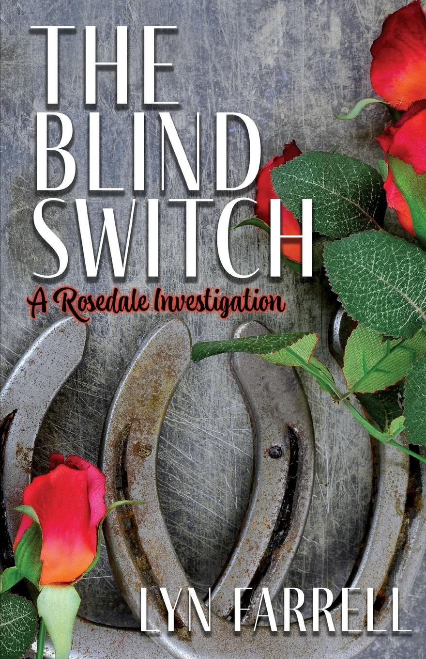 Vorderes Coverbild The Blind Switch