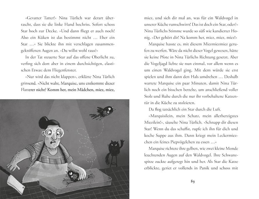 Beispielinhalt (Bild) Dachs im Dickicht - Das letzte Huhn