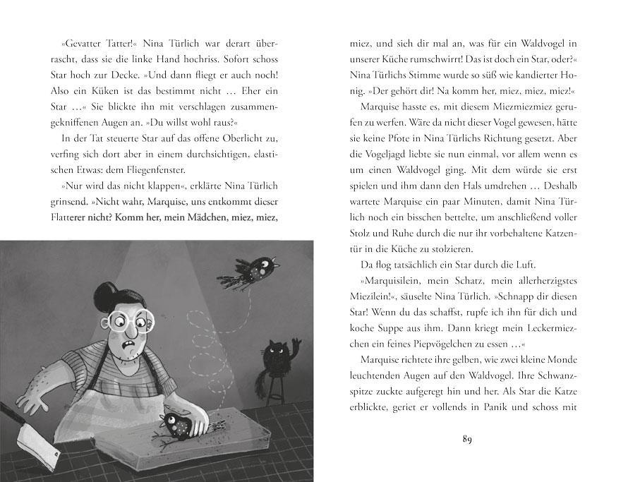 Beispielinhalt (Bild) Dachs im Dickicht - Das letzte Huhn