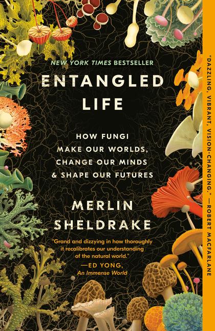 Vorderes Coverbild Entangled Life