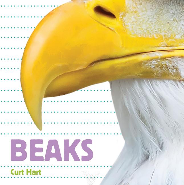 Vorderes Coverbild Beaks