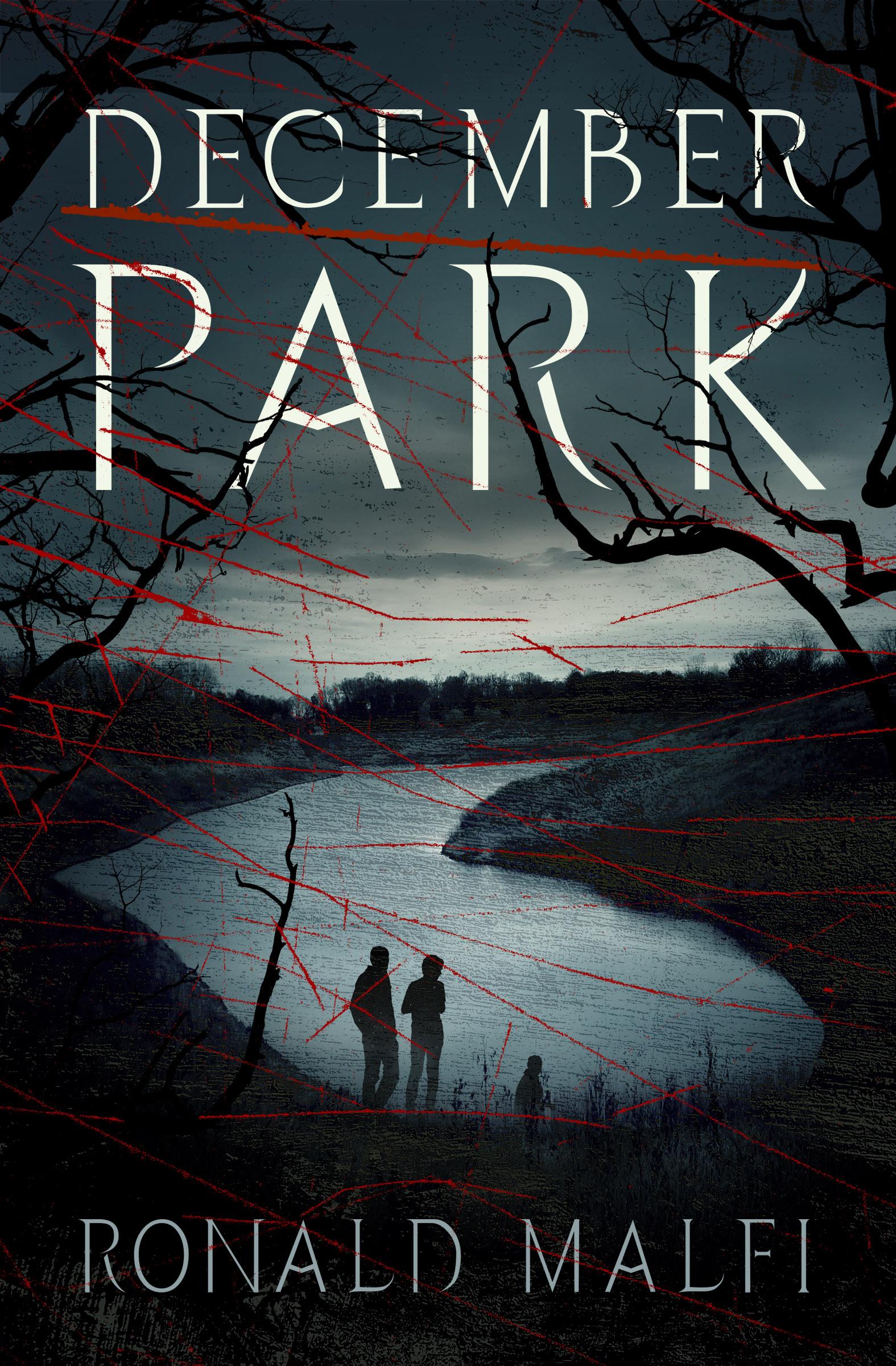 Vorderes Coverbild December Park