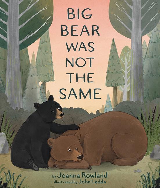 Vorderes Coverbild Big Bear Was Not the Same