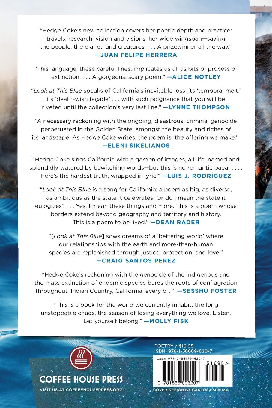 Rückseitencover Look at This Blue