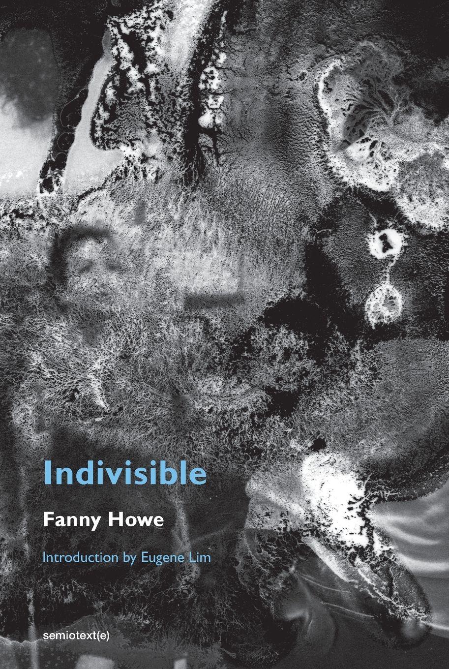 Vorderes Coverbild Indivisible, new edition