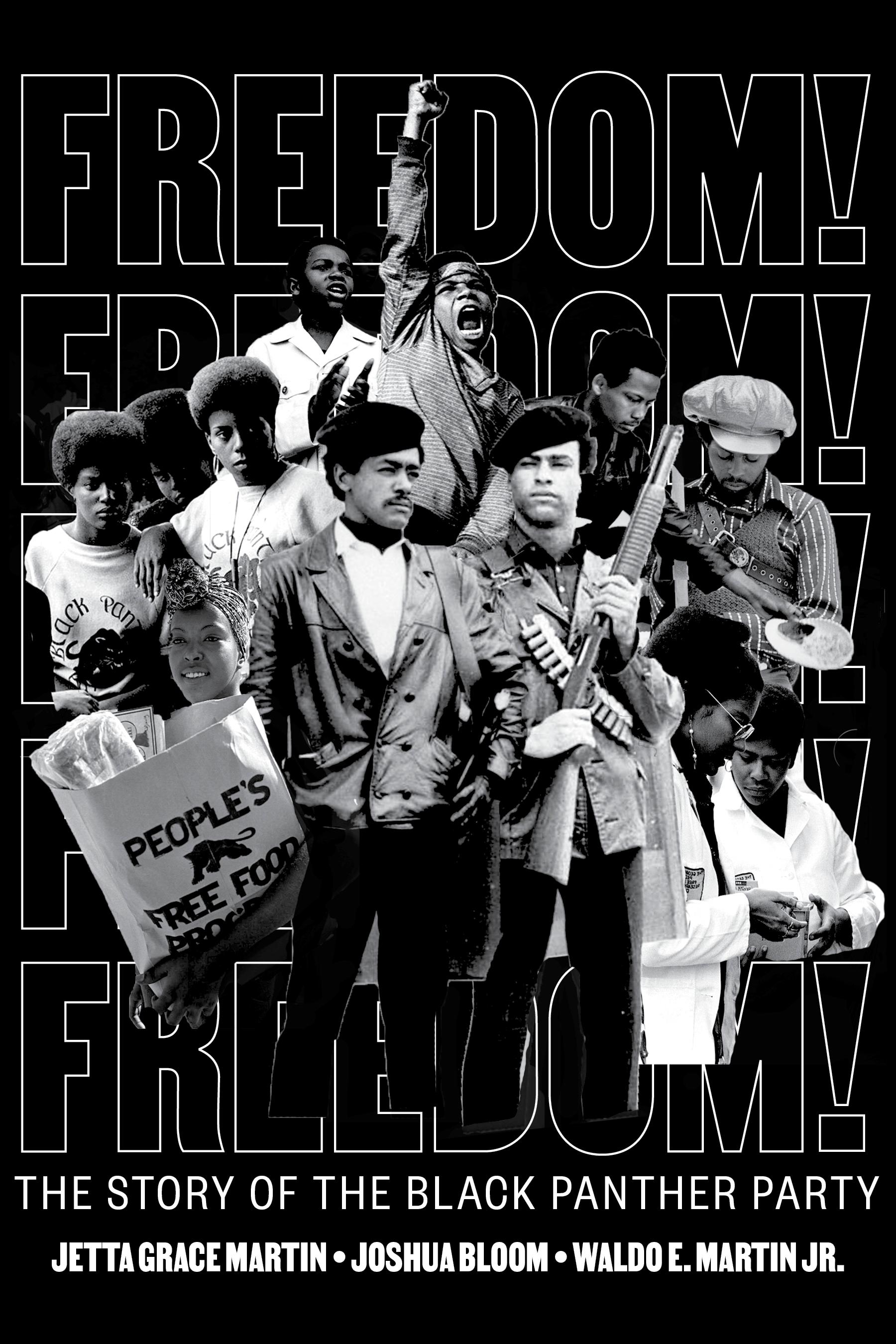 Vorderes Coverbild Freedom! the Story of the Black Panther Party