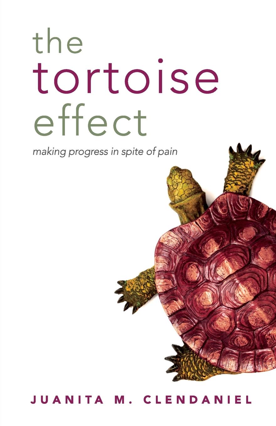 Vorderes Coverbild The Tortoise Effect