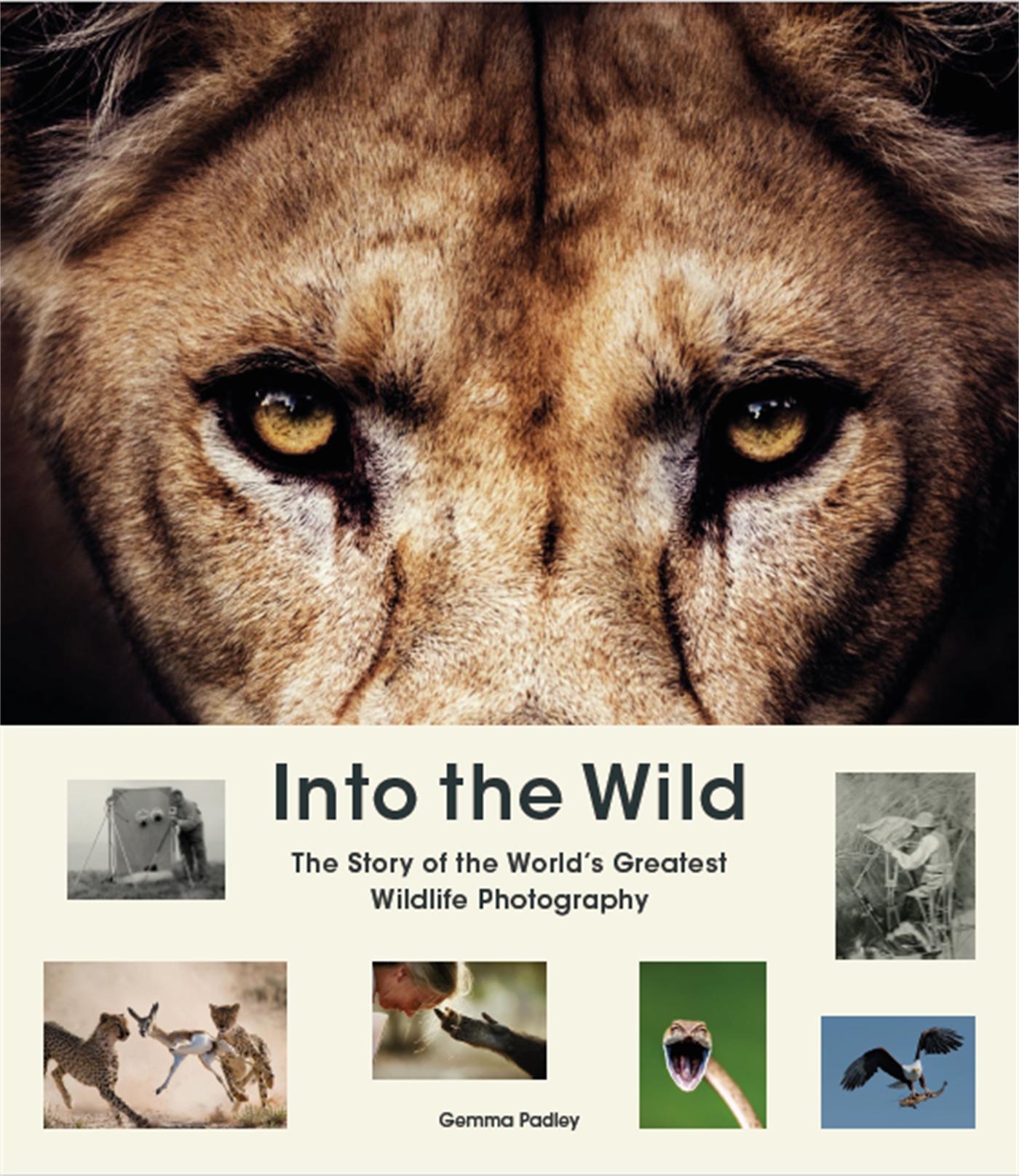 Vorderes Coverbild Into the Wild