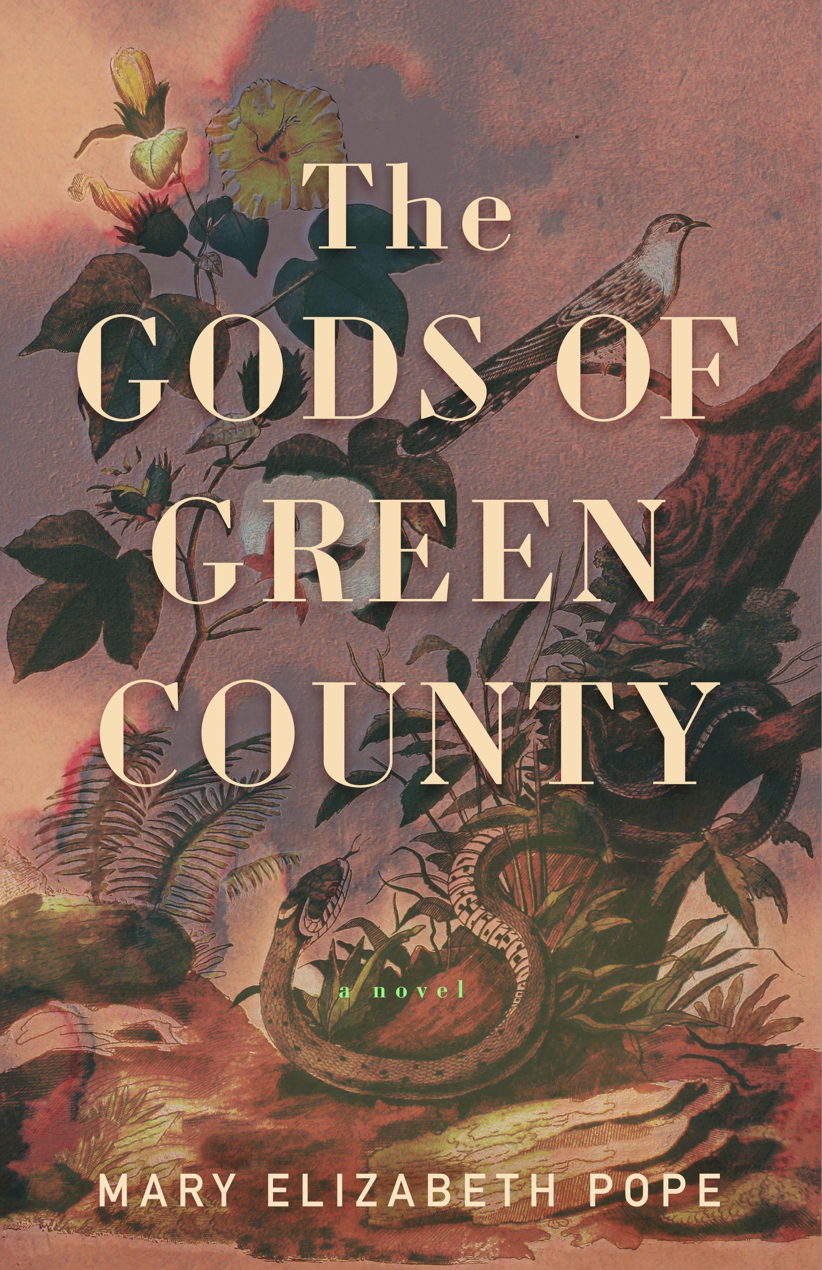 Vorderes Coverbild The Gods of Green County