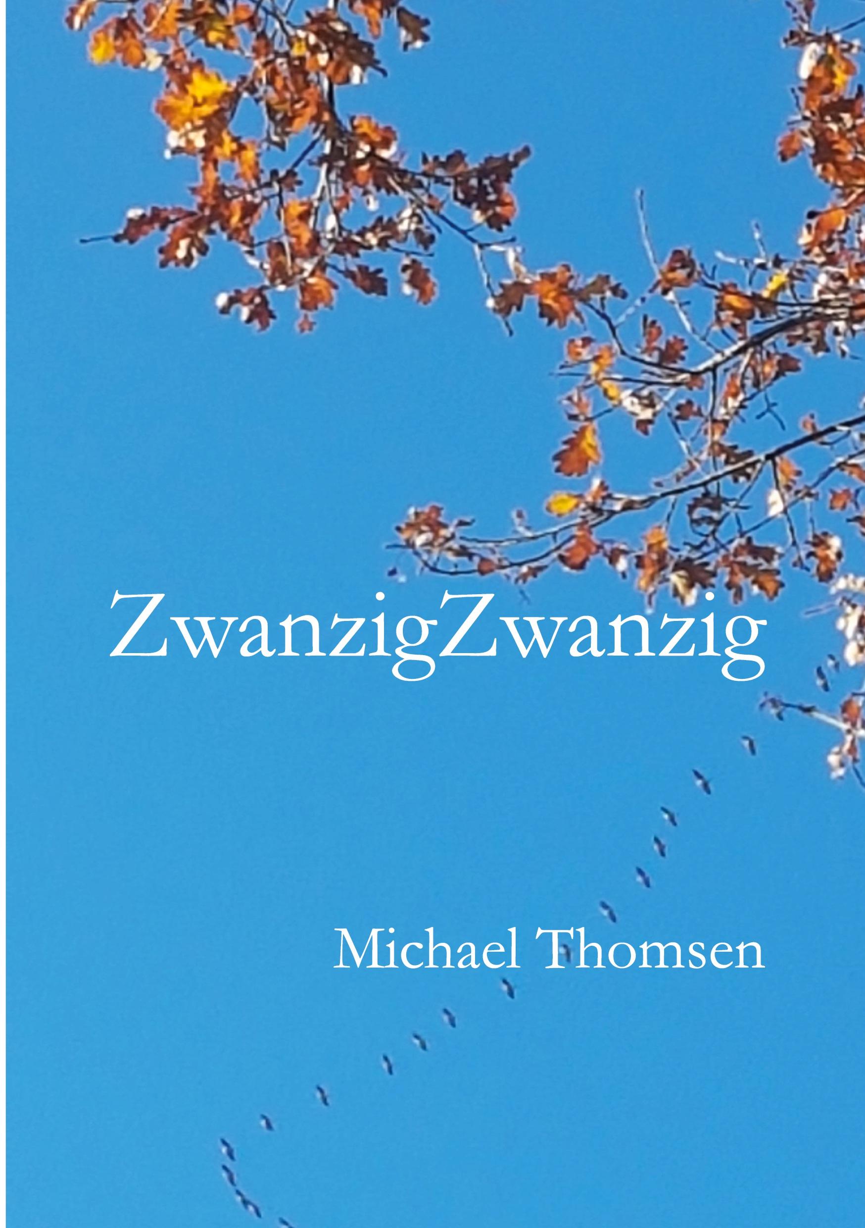 Vorderes Coverbild ZwanzigZwanzig
