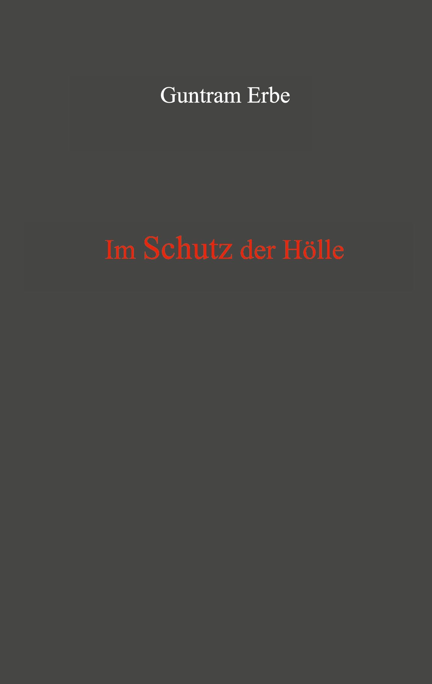 Vorderes Coverbild Im Schutz der Hölle