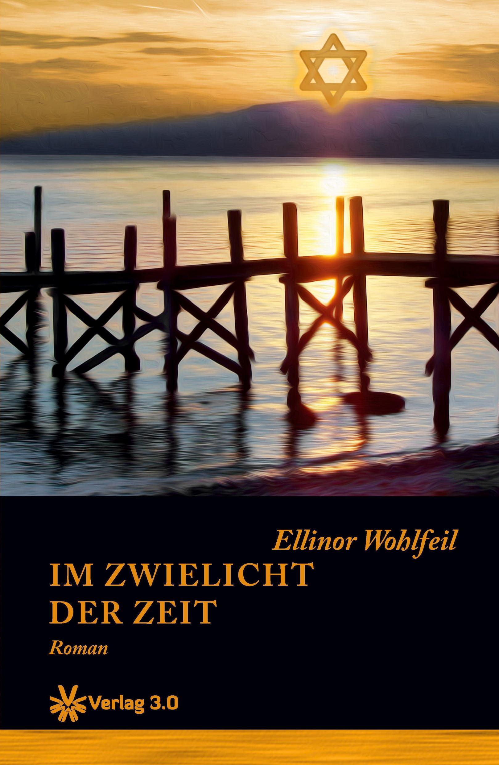 Vorderes Coverbild Im Zwielicht der Zeit