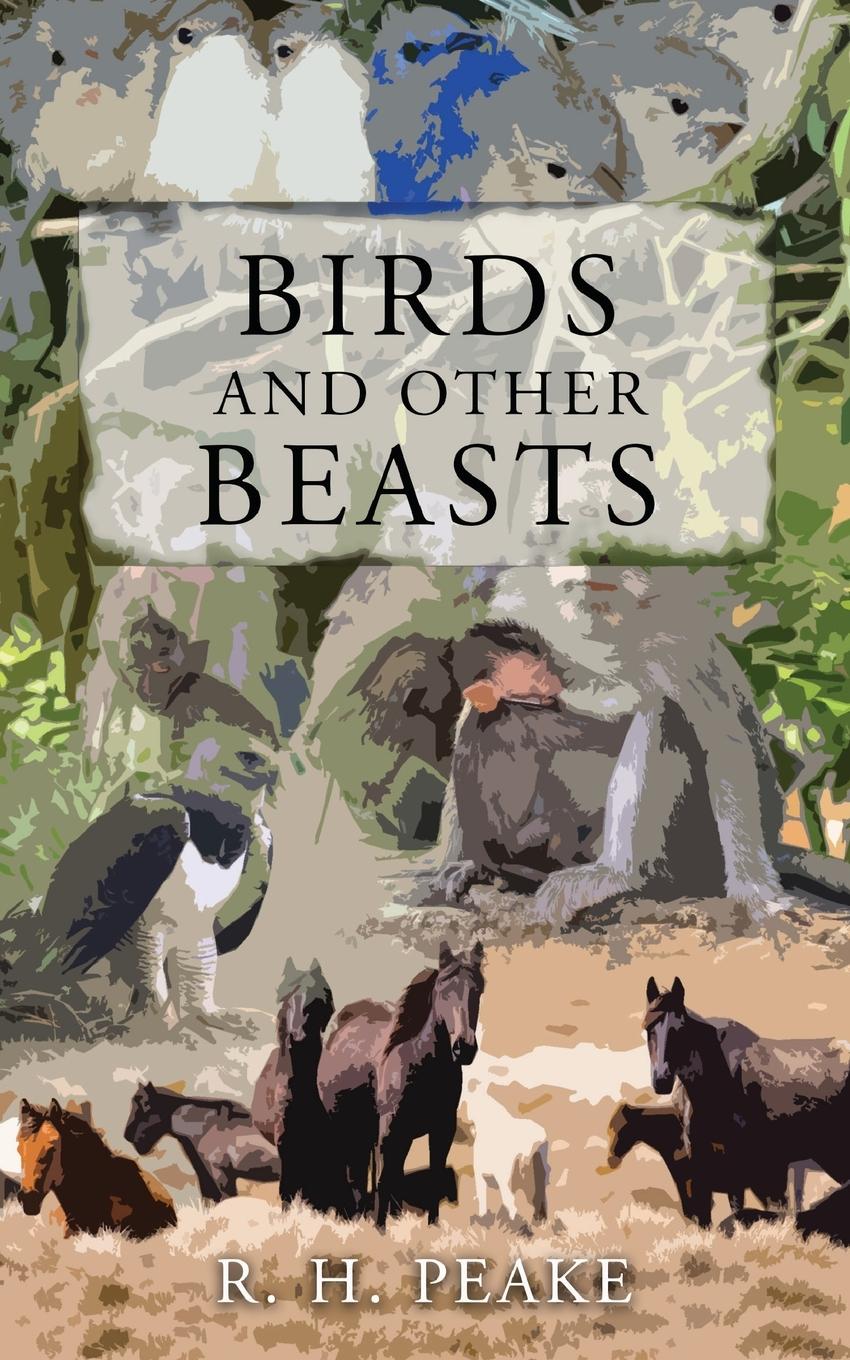 Vorderes Coverbild Birds and Other Beast