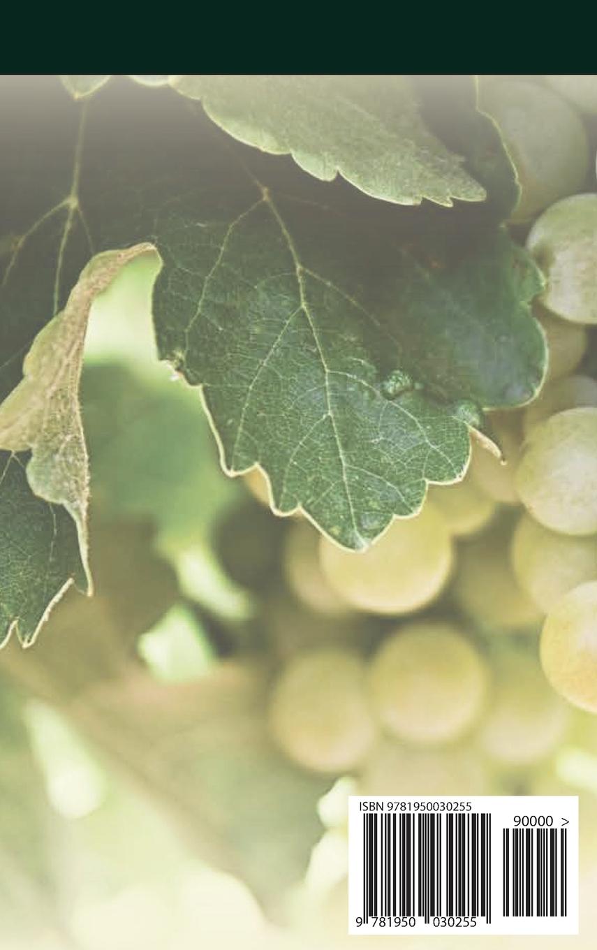 Rückseitencover The Spirits' Book (New English Edition)