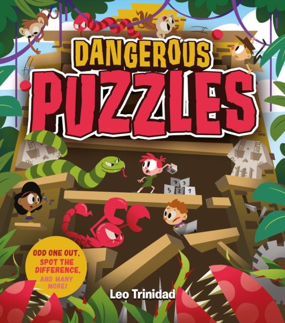 Vorderes Coverbild Dangerous Puzzles