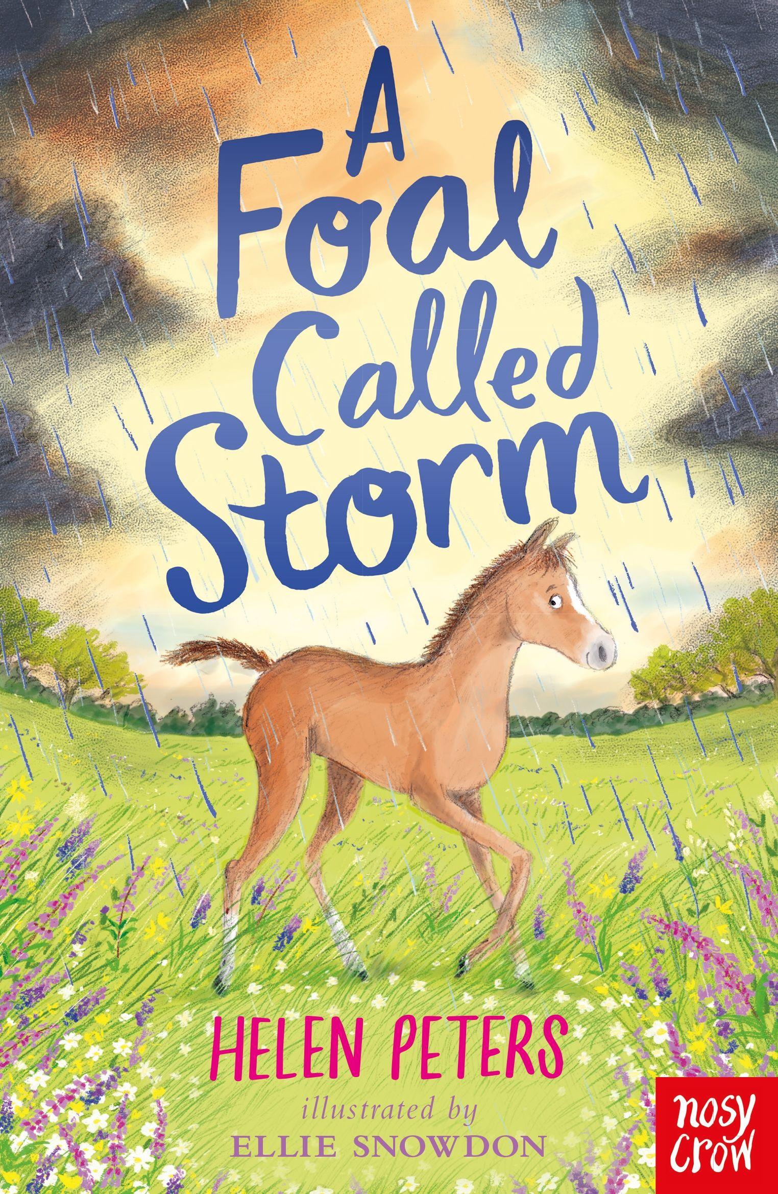 Vorderes Coverbild A Foal Called Storm