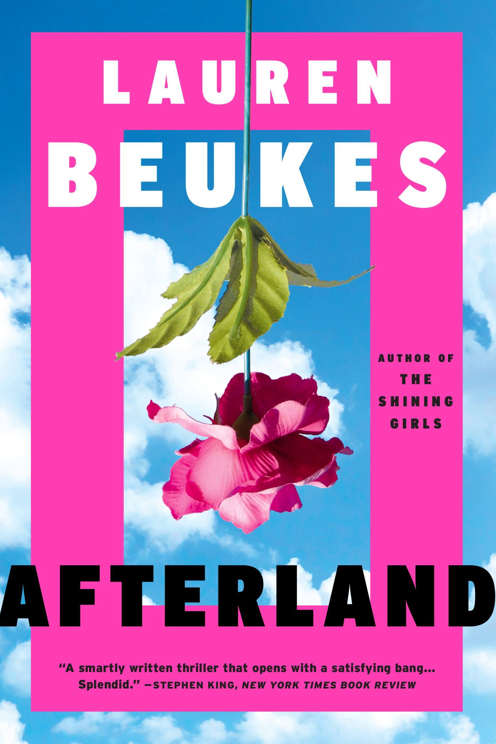 Vorderes Coverbild Afterland