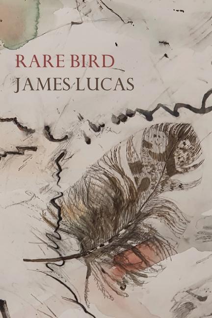 Vorderes Coverbild Rare Bird