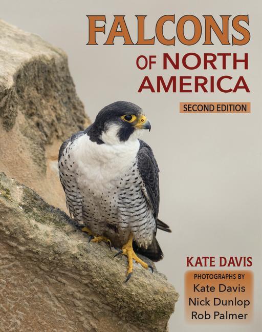 Vorderes Coverbild Falcons of North America