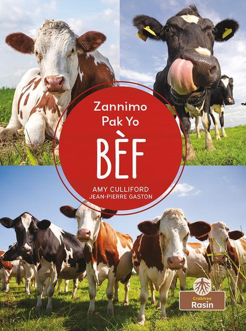 Vorderes Coverbild Bèf (Cows)