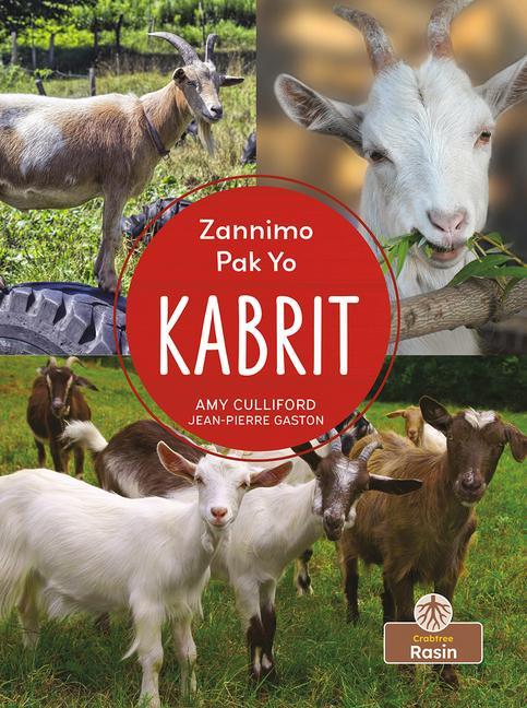 Vorderes Coverbild Kabrit (Goats)