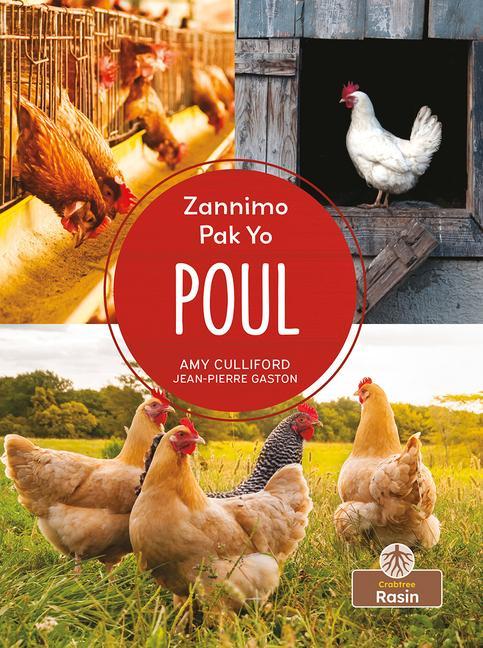 Vorderes Coverbild Poul (Chickens)