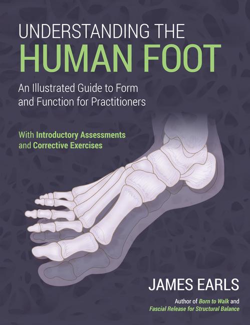 Vorderes Coverbild Understanding the Human Foot