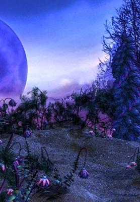 Vorderes Coverbild AIdan Redding Against the Universes