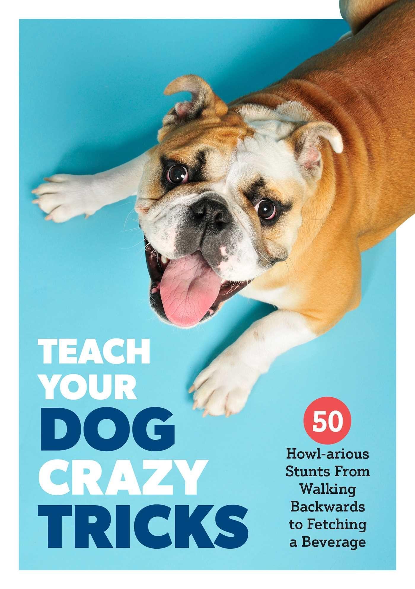 Vorderes Coverbild Teach Your Dog Crazy Tricks