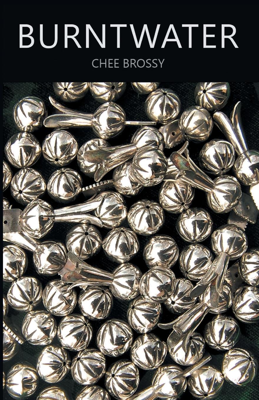 Vorderes Coverbild Burntwater