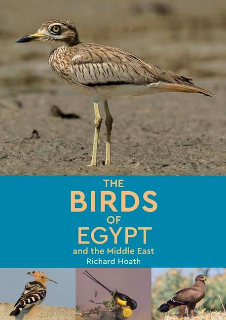 Vorderes Coverbild The Birds of Egypt and the Middle East