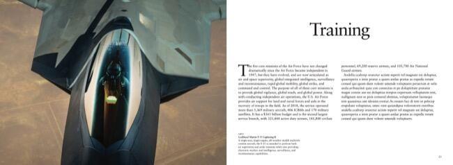 Beispielinhalt (Bild) The Air Force