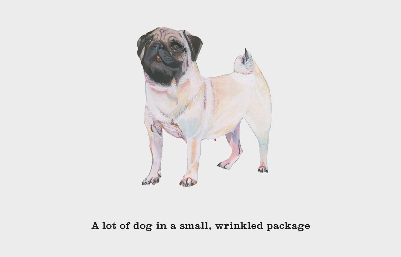 Beispielinhalt (Bild) Do You Know Your Dogs? Dog Lovers' Quiz Cards