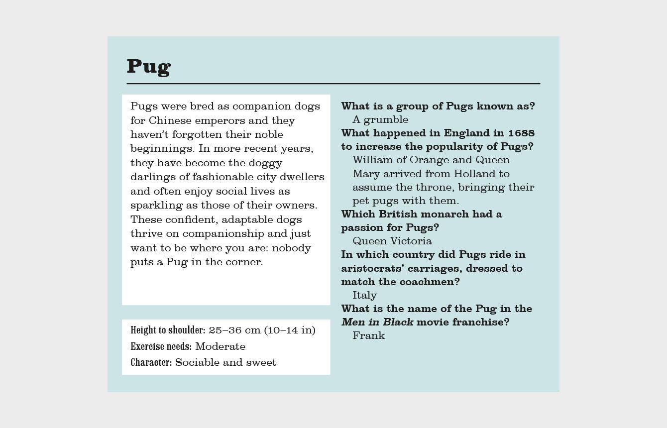 Beispielinhalt (Bild) Do You Know Your Dogs? Dog Lovers' Quiz Cards
