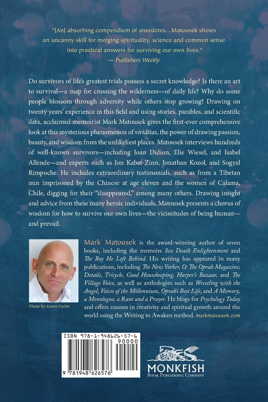 Rückseitencover When You're Falling, Dive