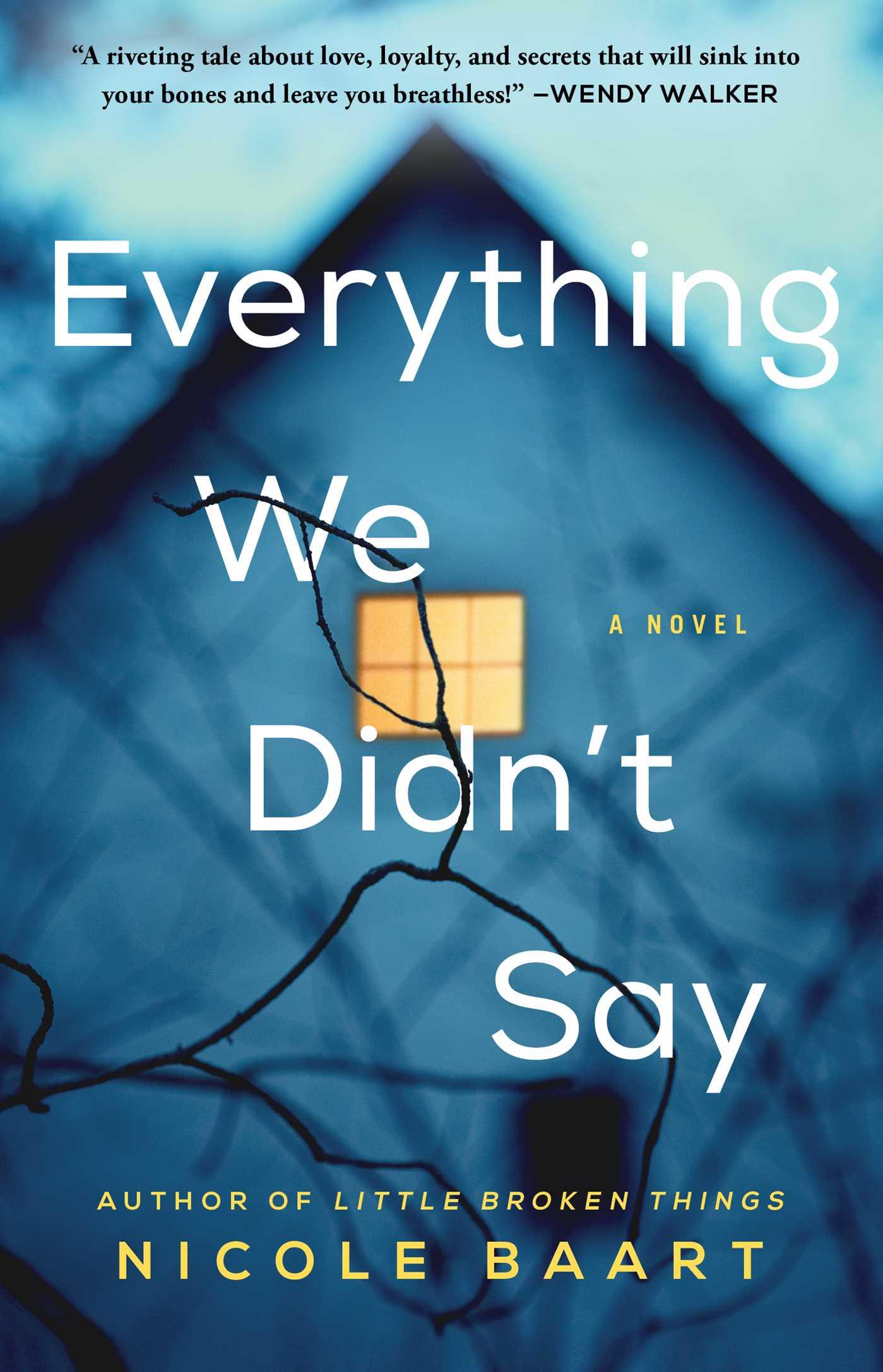 Vorderes Coverbild Everything We Didn't Say