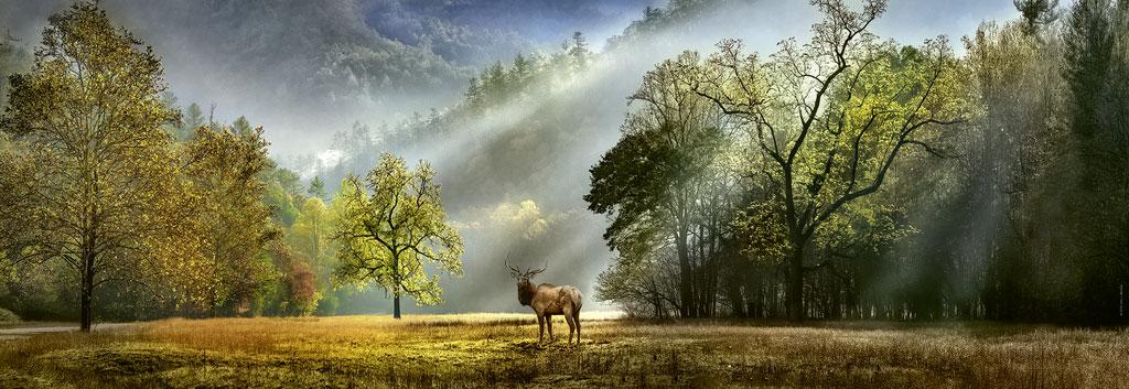 Beispielinhalt (Bild) Morning Salute Puzzle 1000 Teile