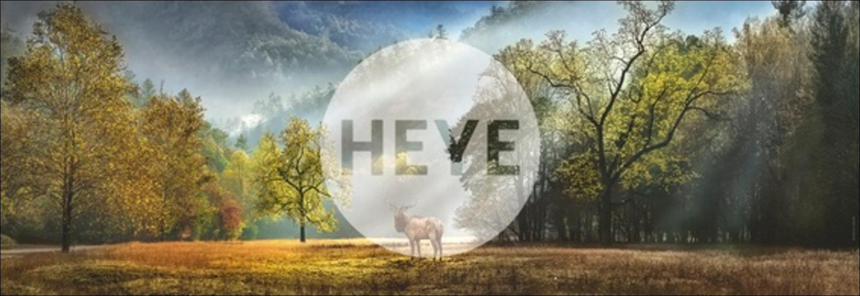 Beispielinhalt (Bild) Morning Salute Puzzle 1000 Teile