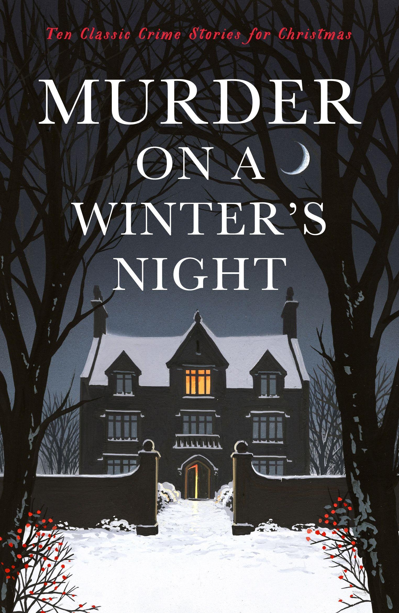 Vorderes Coverbild Murder on a Winter's Night