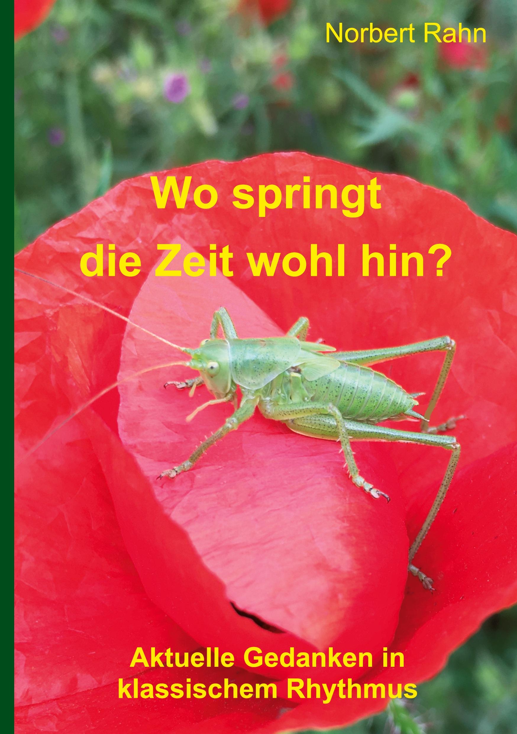 Vorderes Coverbild Wo springt die Zeit wohl hin?