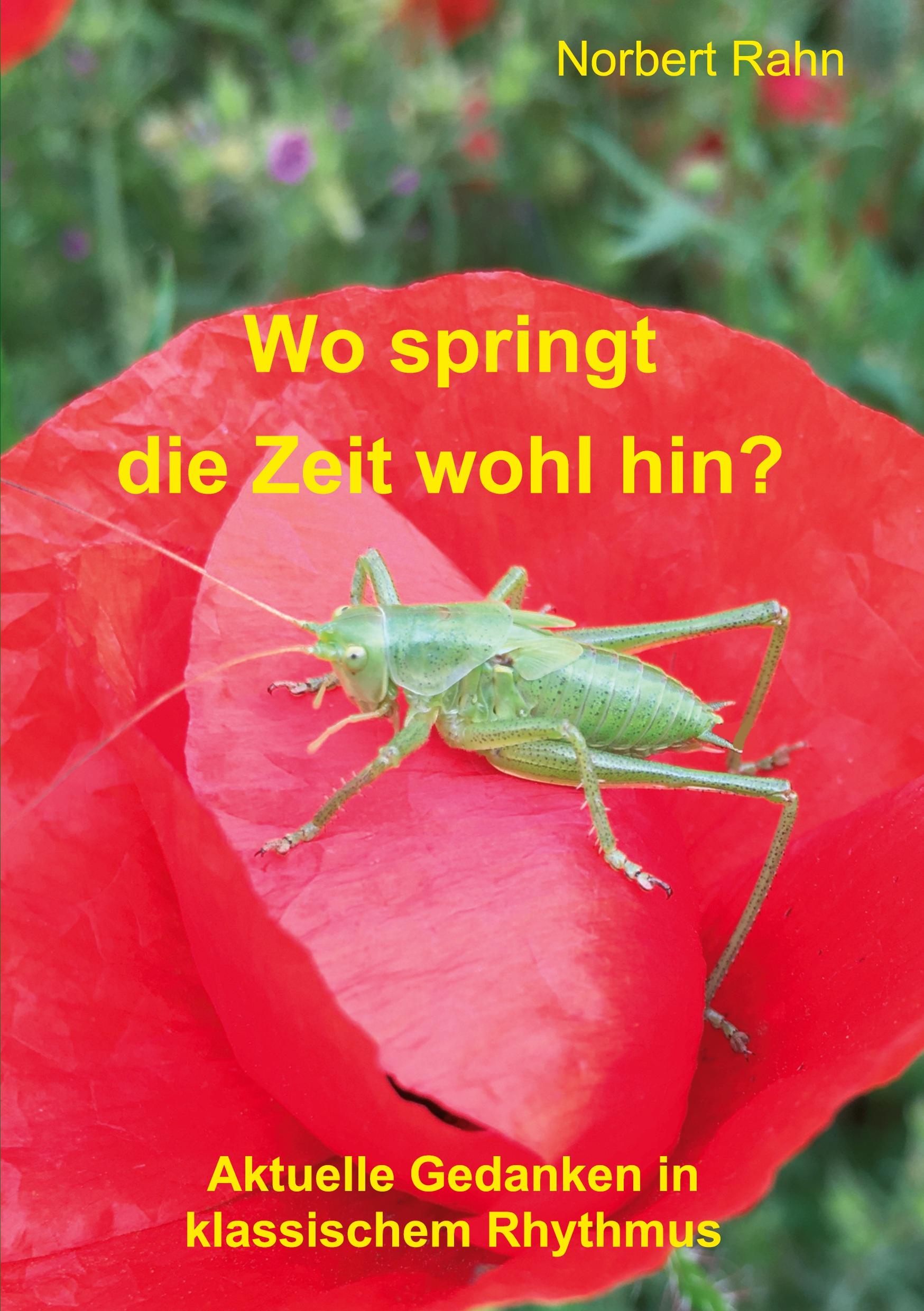 Vorderes Coverbild Wo springt die Zeit wohl hin?