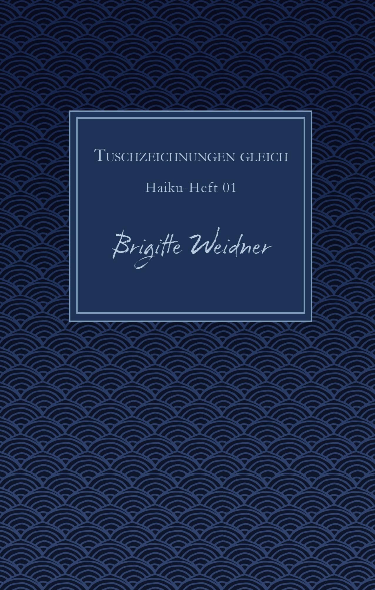 Vorderes Coverbild Tuschzeichnungen gleich