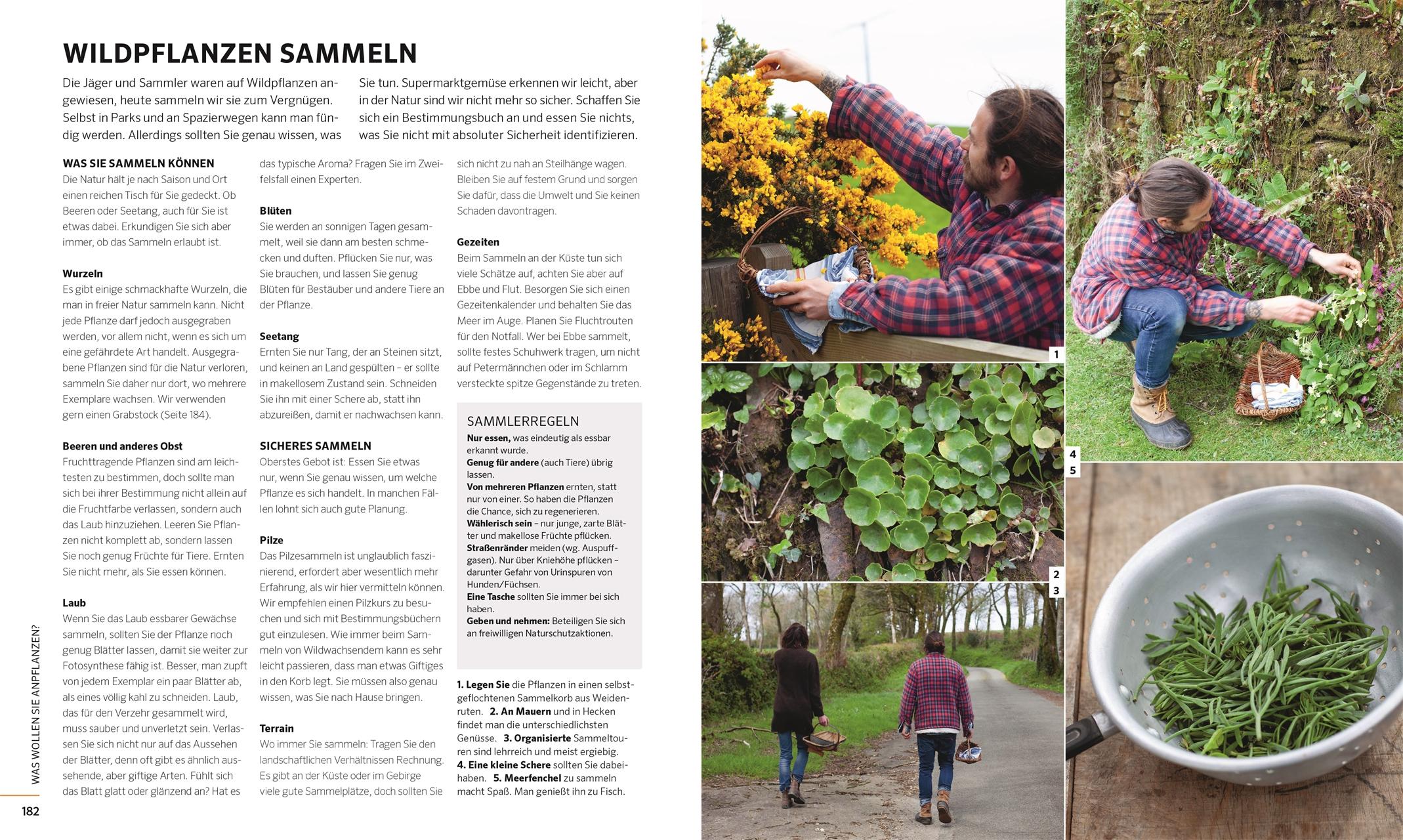 Beispielinhalt (Bild) Das große Buch der Selbstversorgung