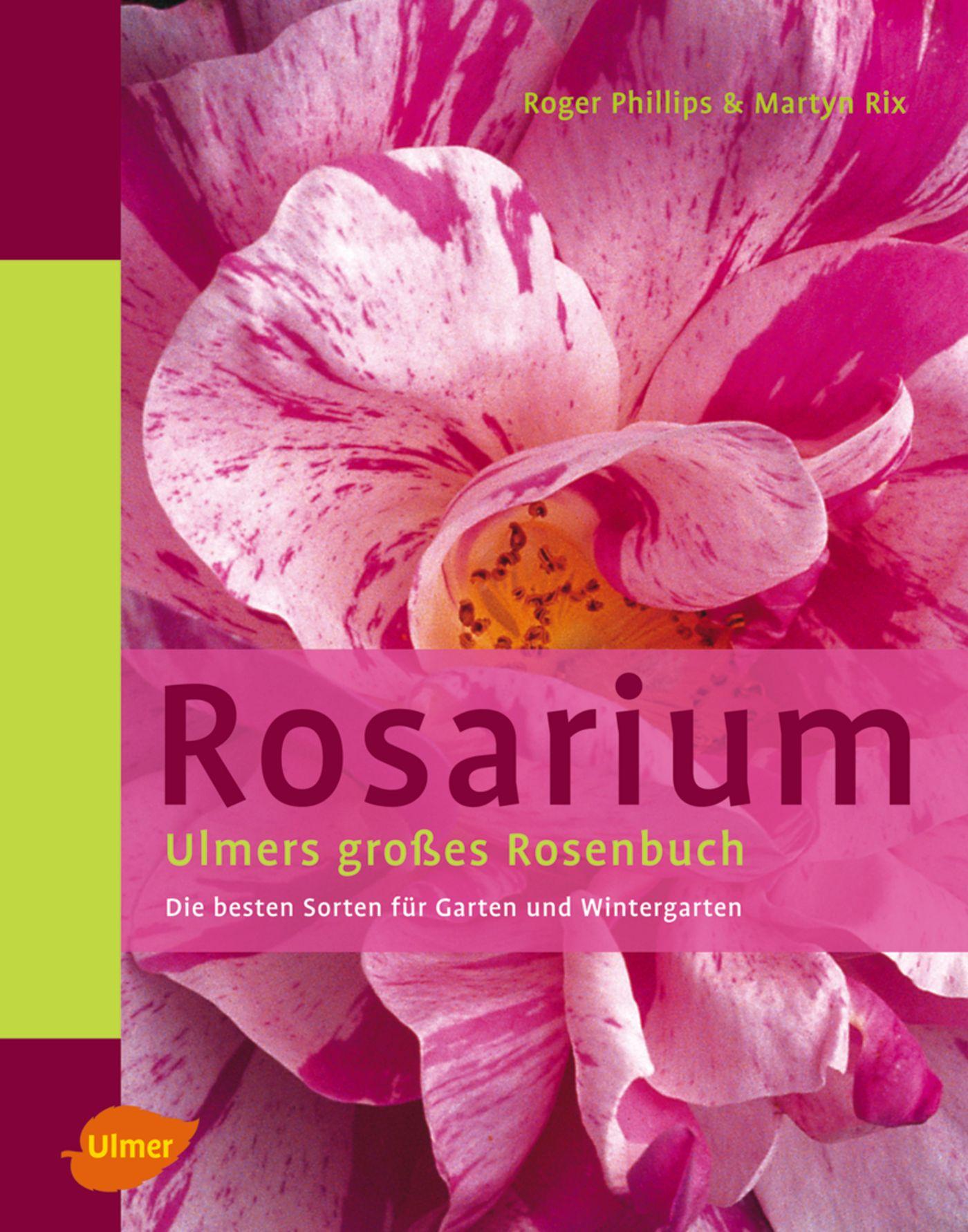 Vorderes Coverbild Rosarium