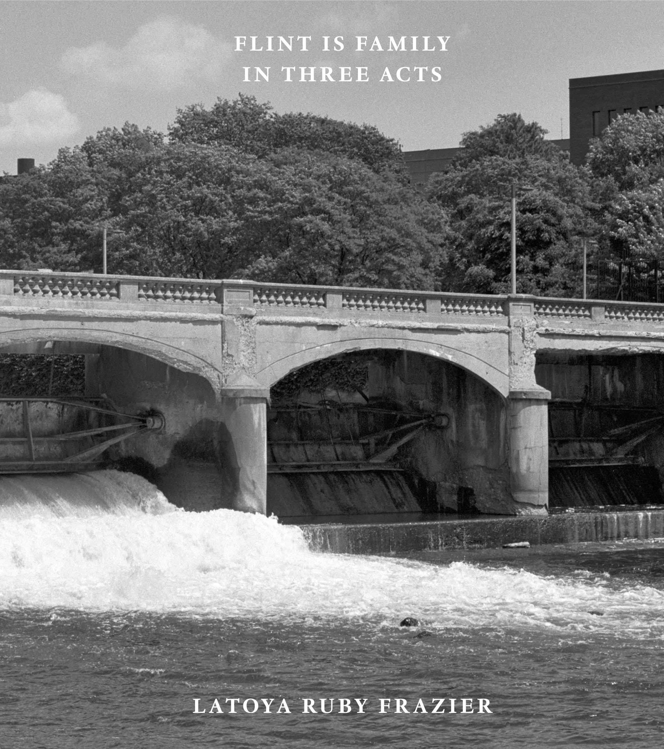 Vorderes Coverbild Flint is Family in Three Acts