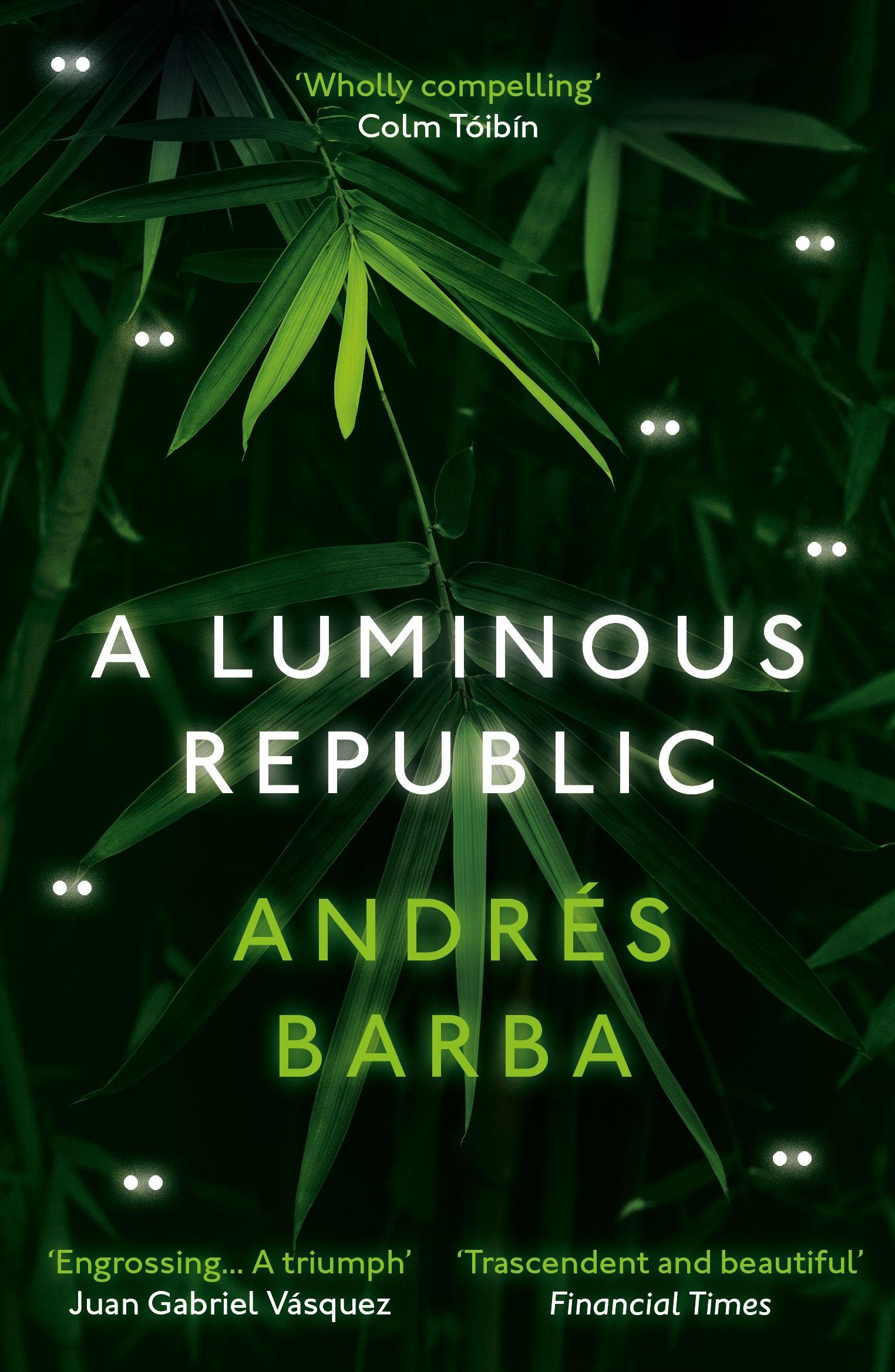 Vorderes Coverbild A Luminous Republic