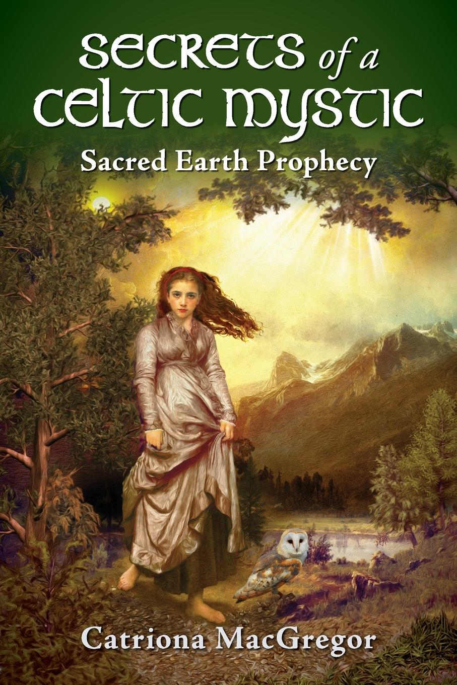 Vorderes Coverbild Secrets of a Celtic Mystic