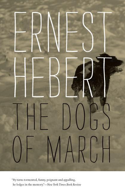 Vorderes Coverbild Dogs of March