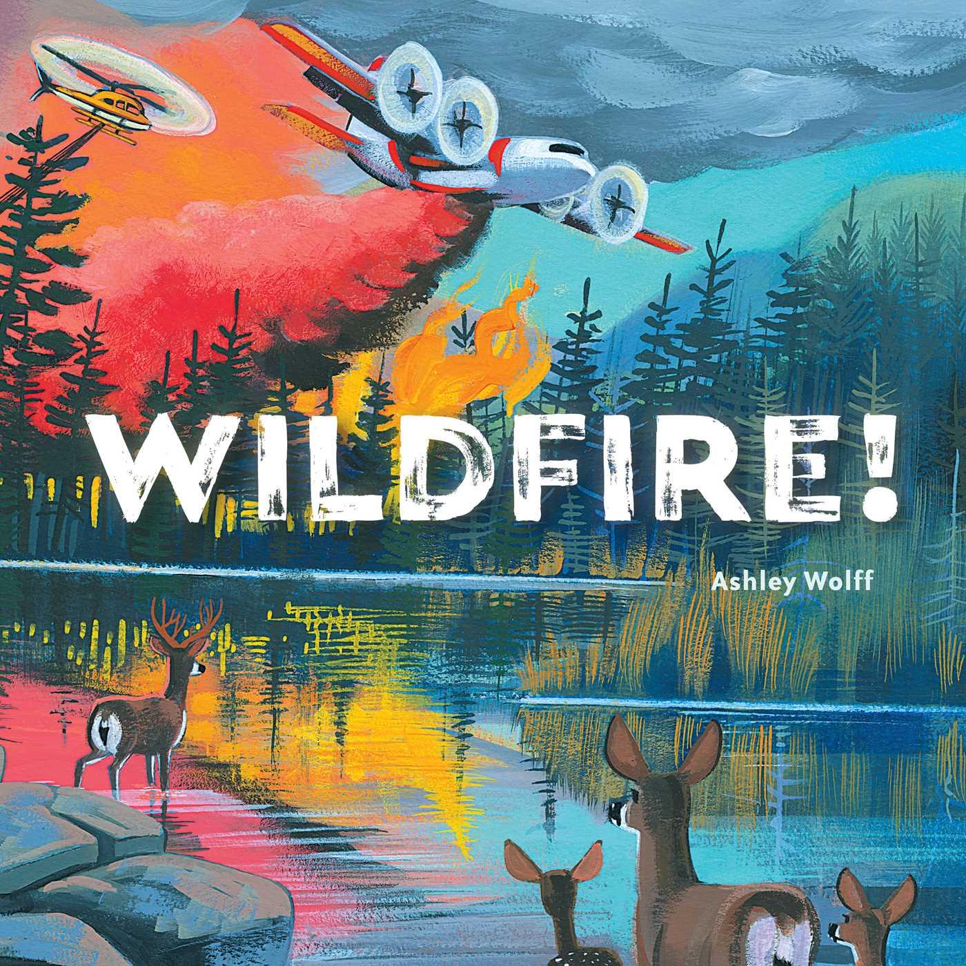 Vorderes Coverbild Wildfire!